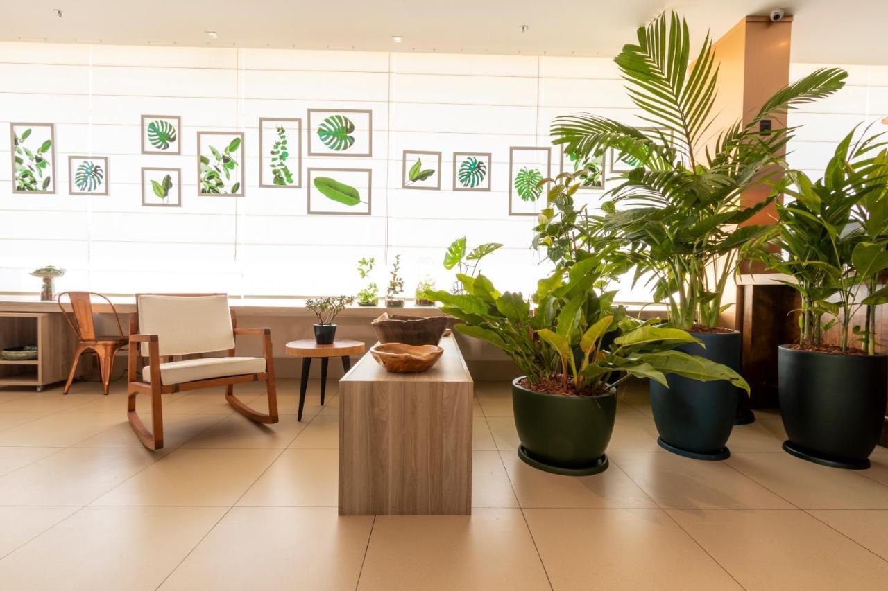 Отель Ibis Styles Curitiba Aeroporto Сан-Жозе-дус-Пиньяйс Экстерьер фото